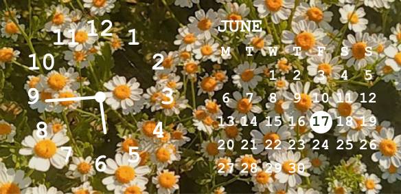 Yellow flower calendar Klok Widget-ideeën[9Rx1GS4XT3QuWXzCikPu]
