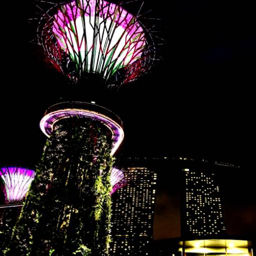 neon Singapore 照片 小部件的想法[tTtlCRb7SggPAndPK6w4]