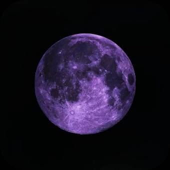 Photo Widget ideas[oeNPSs7VEvF7ErIG1MWp]