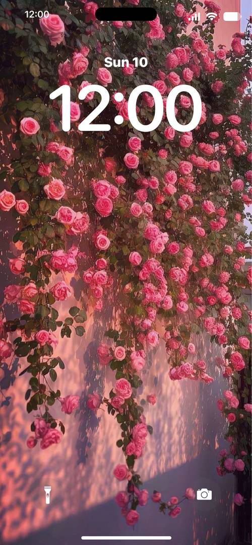 rosesصفحه قفل[damSfpCiGRNLw2oEZ3A1]