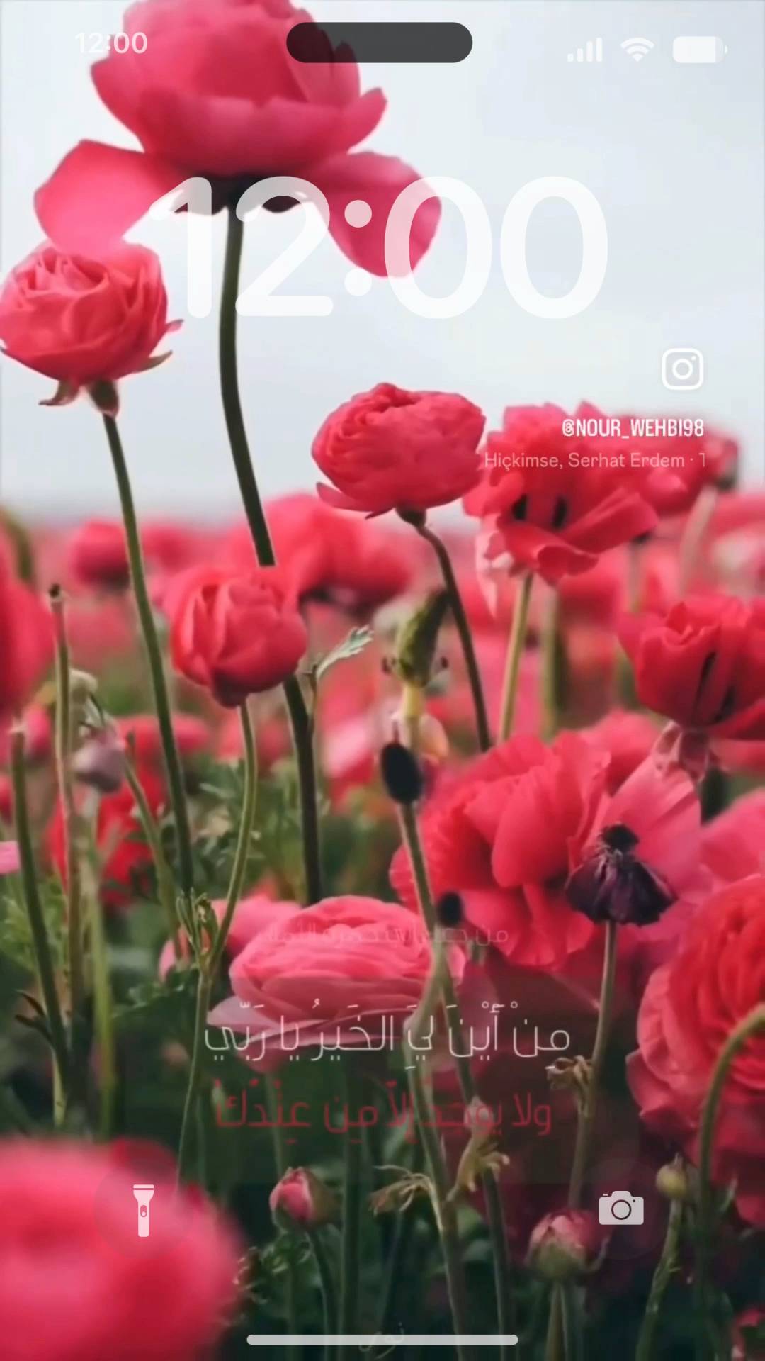  Live Wallpaper[gDZ3f2wthdI0JzlTlvPN]