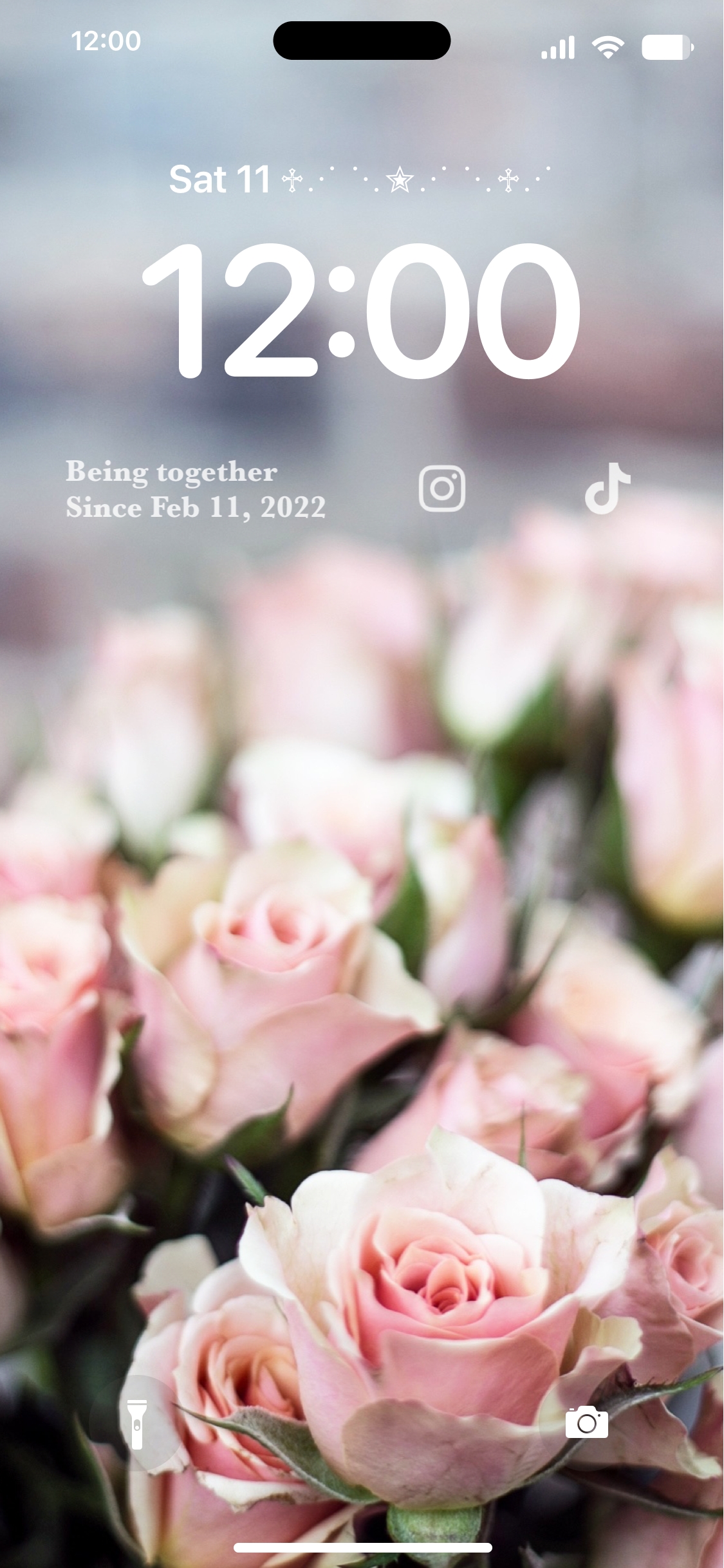 1500 Flower Iphone Pictures  Download Free Images on Unsplash