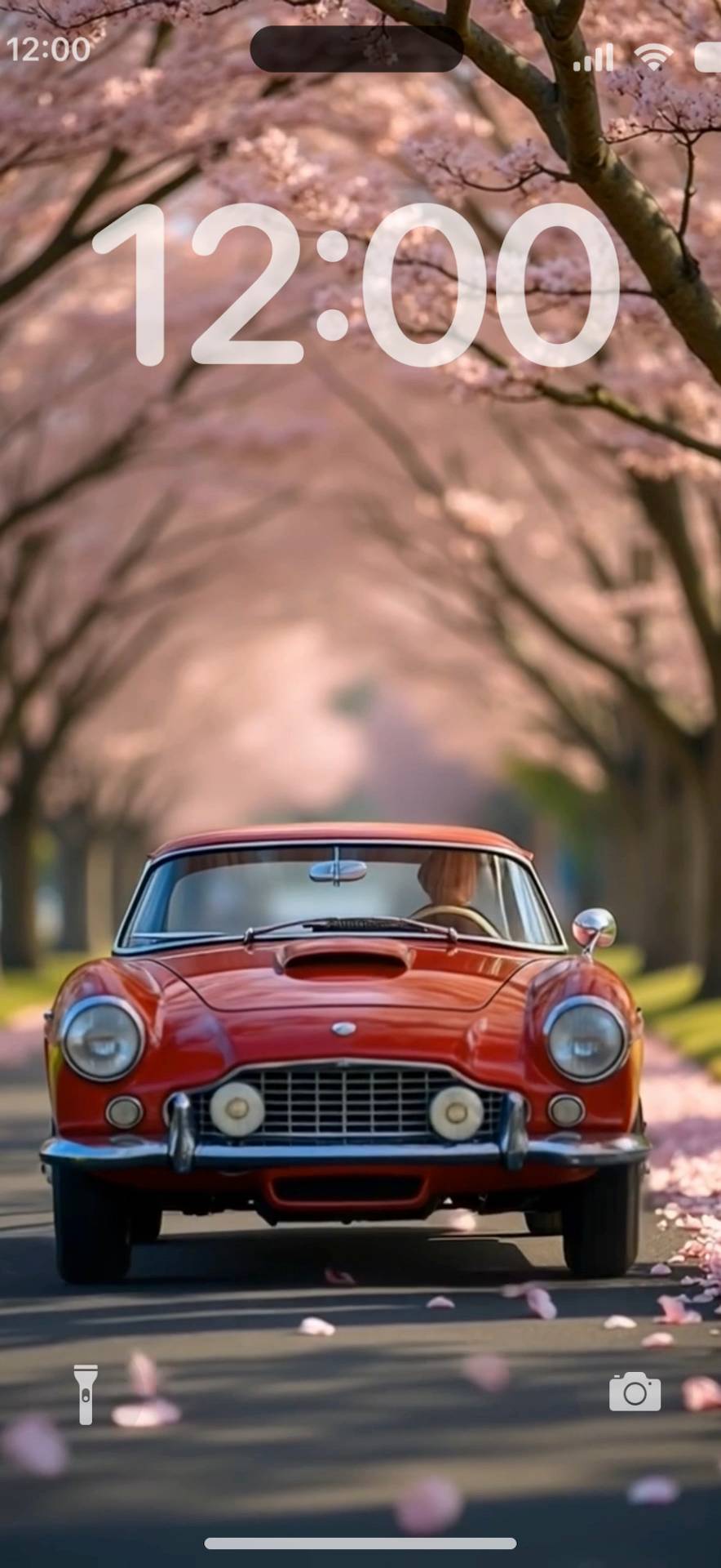 Red car in the sakura arch Živá tapeta[0fT6cmsmp5GZw1wmWCQJ]