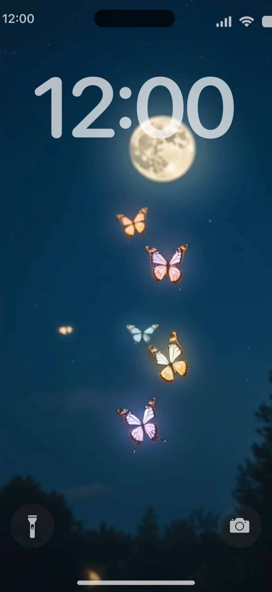 night butterfly Live Wallpaper[TeQkguE8DRbHGZhgeTGw]