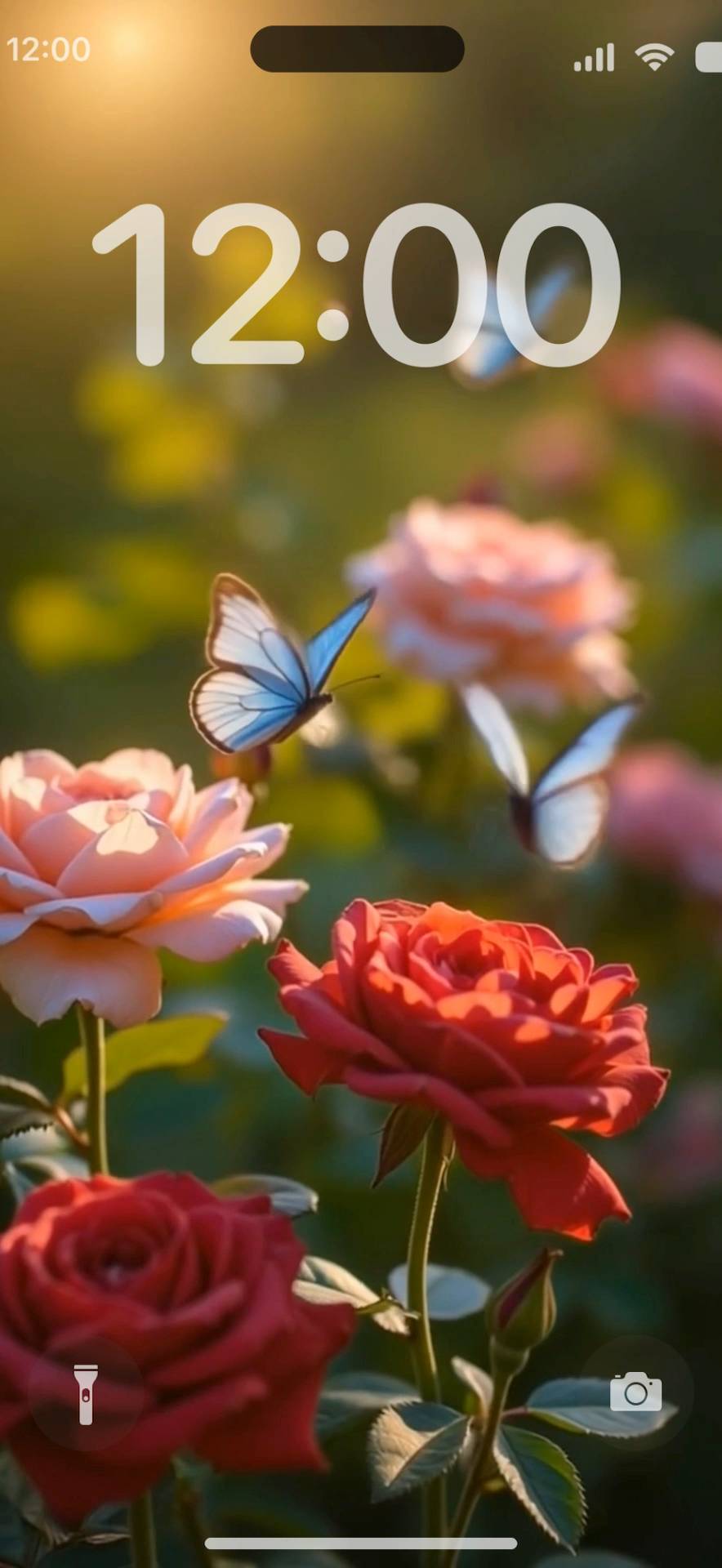 Beautiful butterfly Live Wallpaper[dwZ8iYSMRuLHMwbpbIXB]