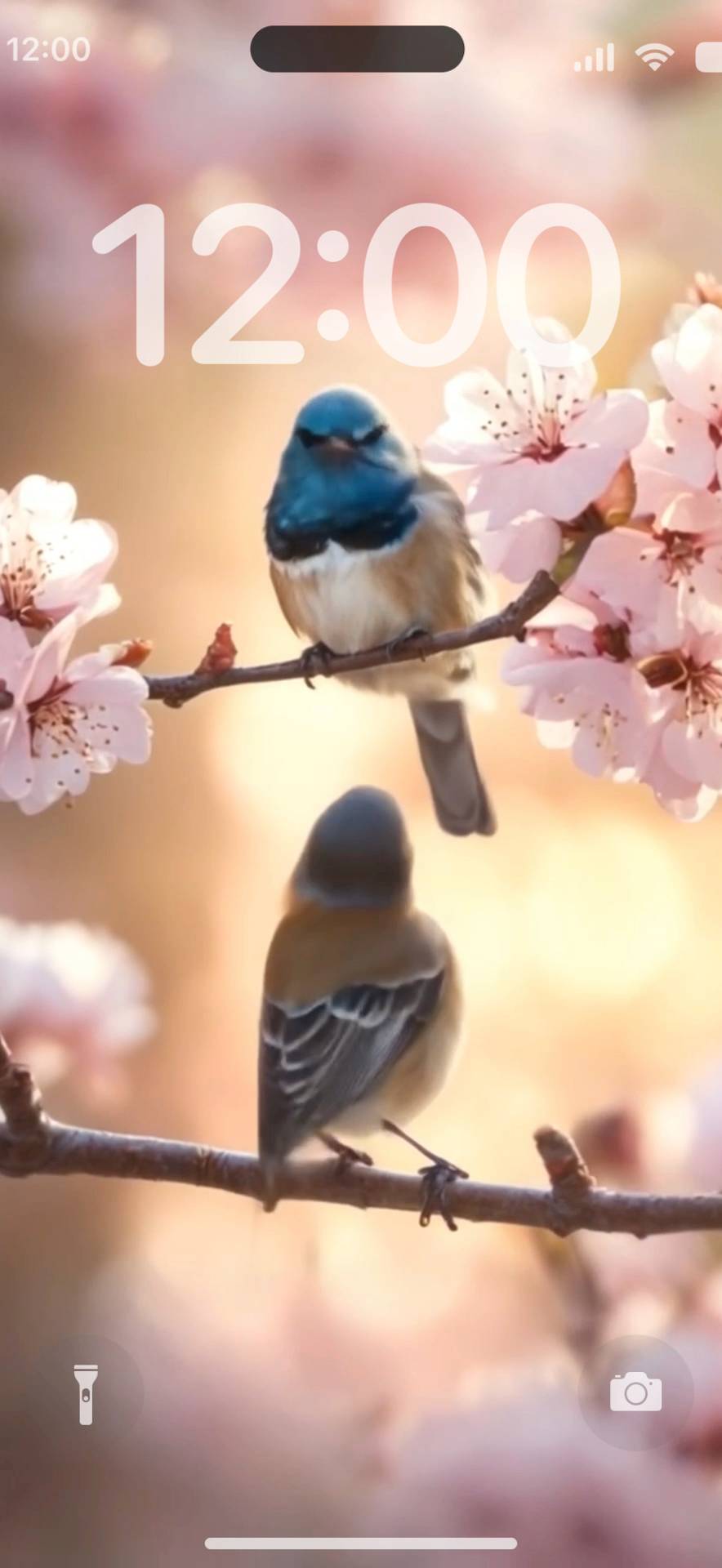 Lively bird Live Wallpaper[Hun2Iwn8acvIkYc8E2gy]