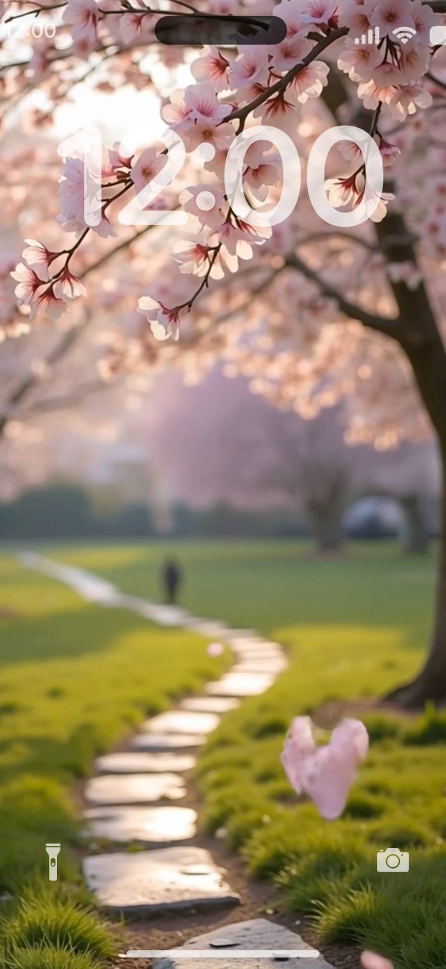 aesthetic sakura Živá tapeta[XQ81hlv6AtzNhq7i0lEb]