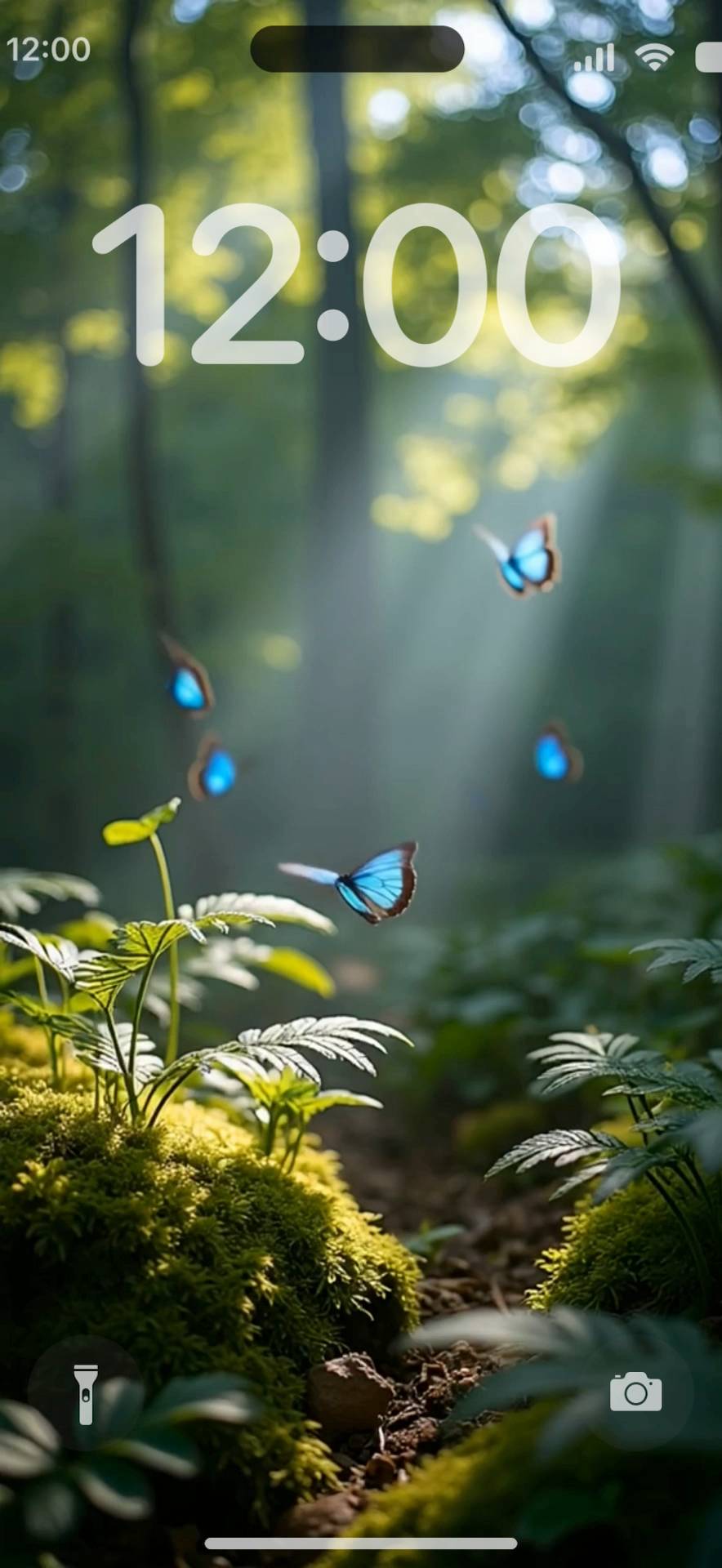 Good morning butterfly ცოცხალი ფონი[NKK5zZYPWJiJHRU34aRZ]