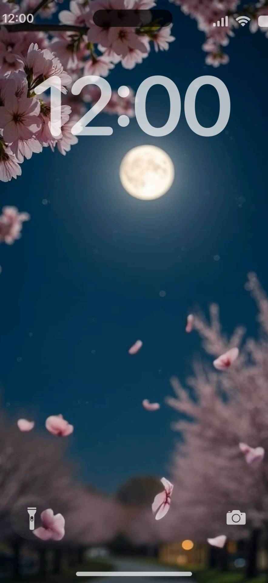 Sakura at moon night Sfondo animato[noyAQ1ONbjrWYQwScZ1e]