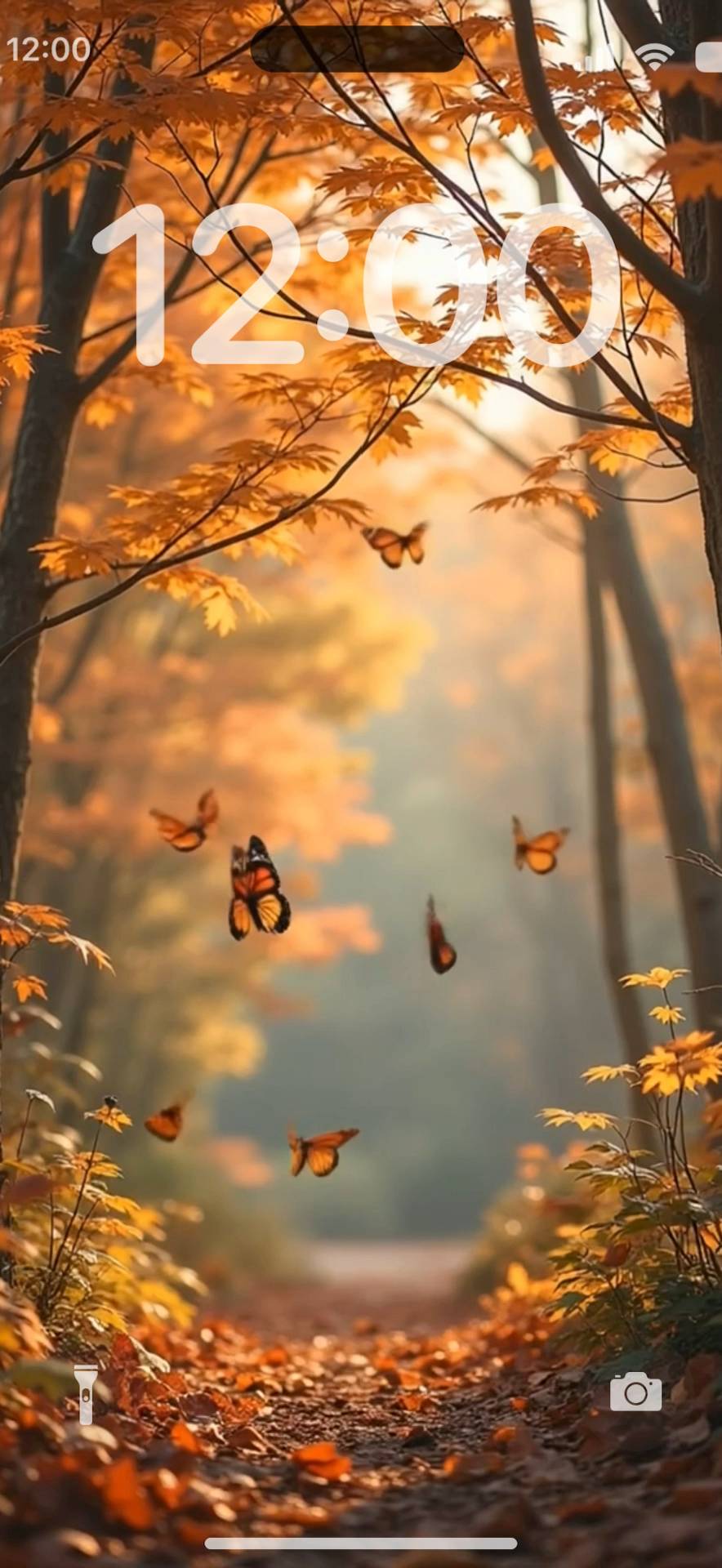 fall butterfly Live Wallpaper[E91ruFaJ1s83O5wR7Mau]