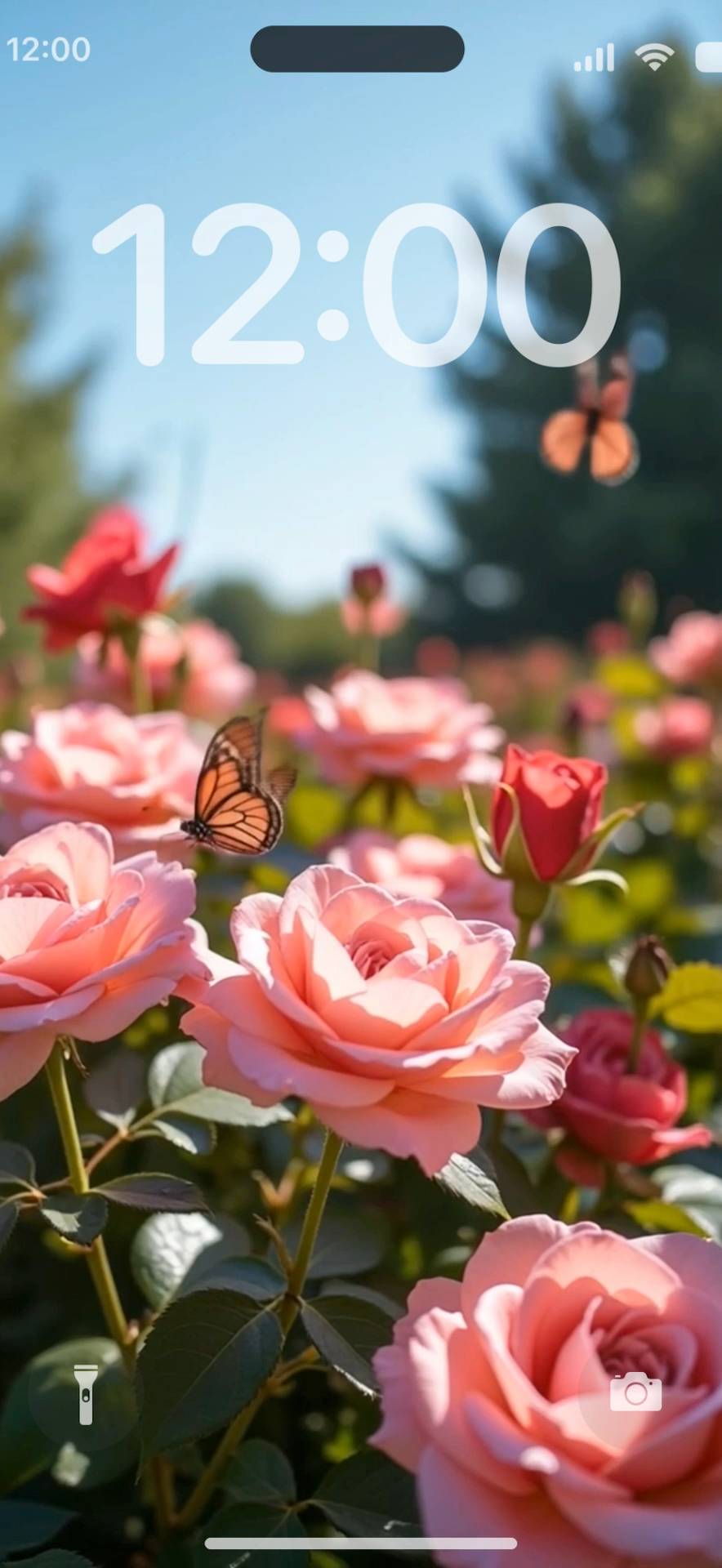 Beautiful rose garden Live Wallpaper[WUOsfFgzHYVemmFA1lWd]