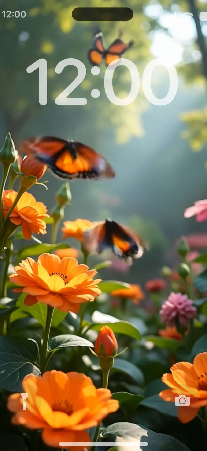 Flower garden with butterfly Canlı duvar kağıdı[bgDE3NHfCGPn0BTCp356]