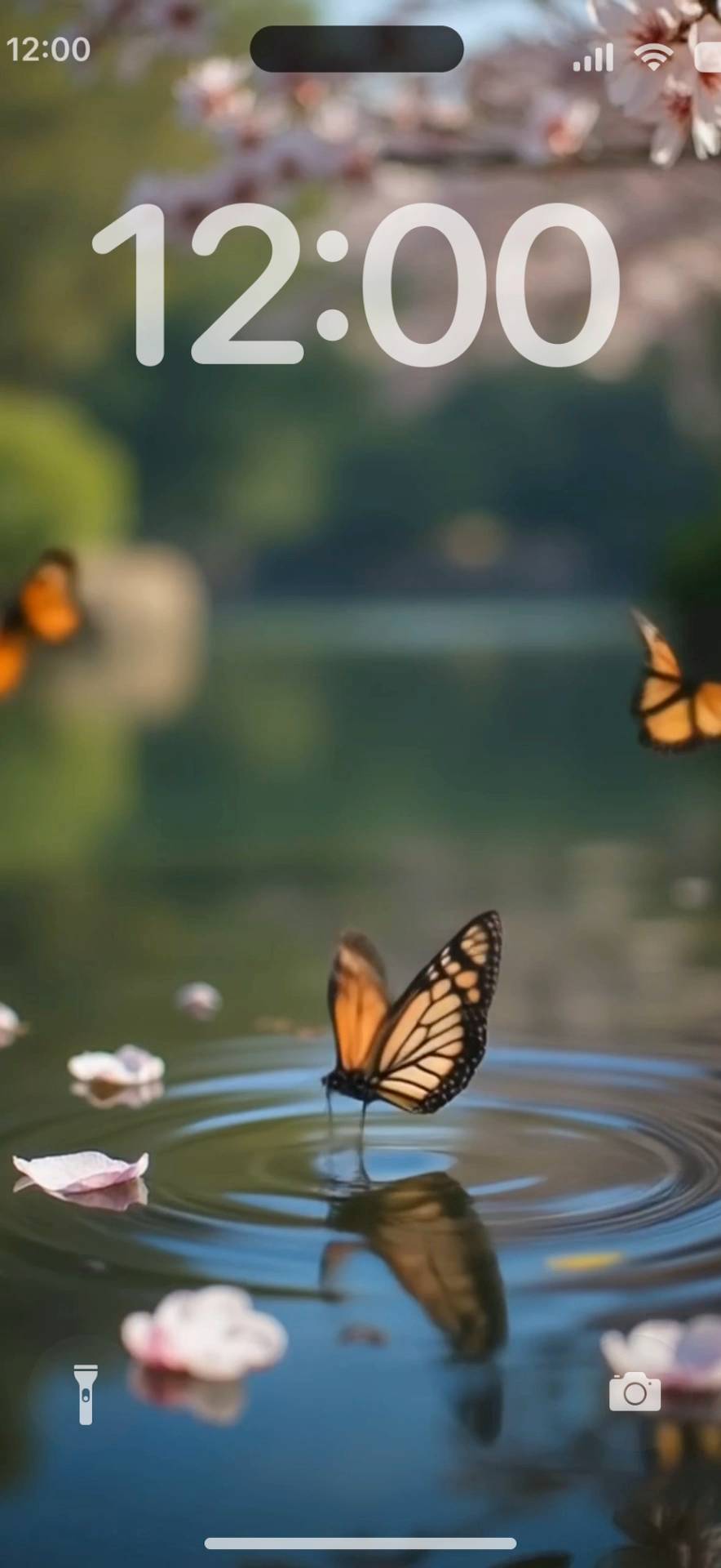 Butterfly lake Živá tapeta[wqCUGa3vOPDOF2ypHY13]