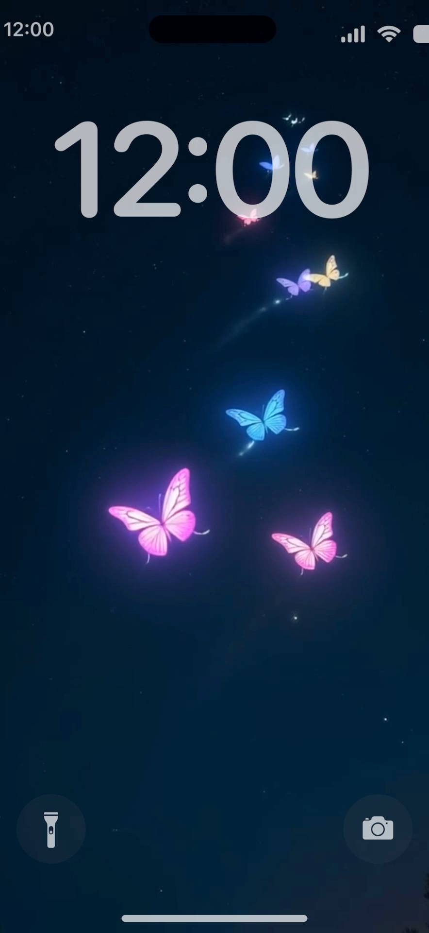 Neon night butterfly Fond d'écran animé[3wPTeuFKhKppTL21ZrDZ]