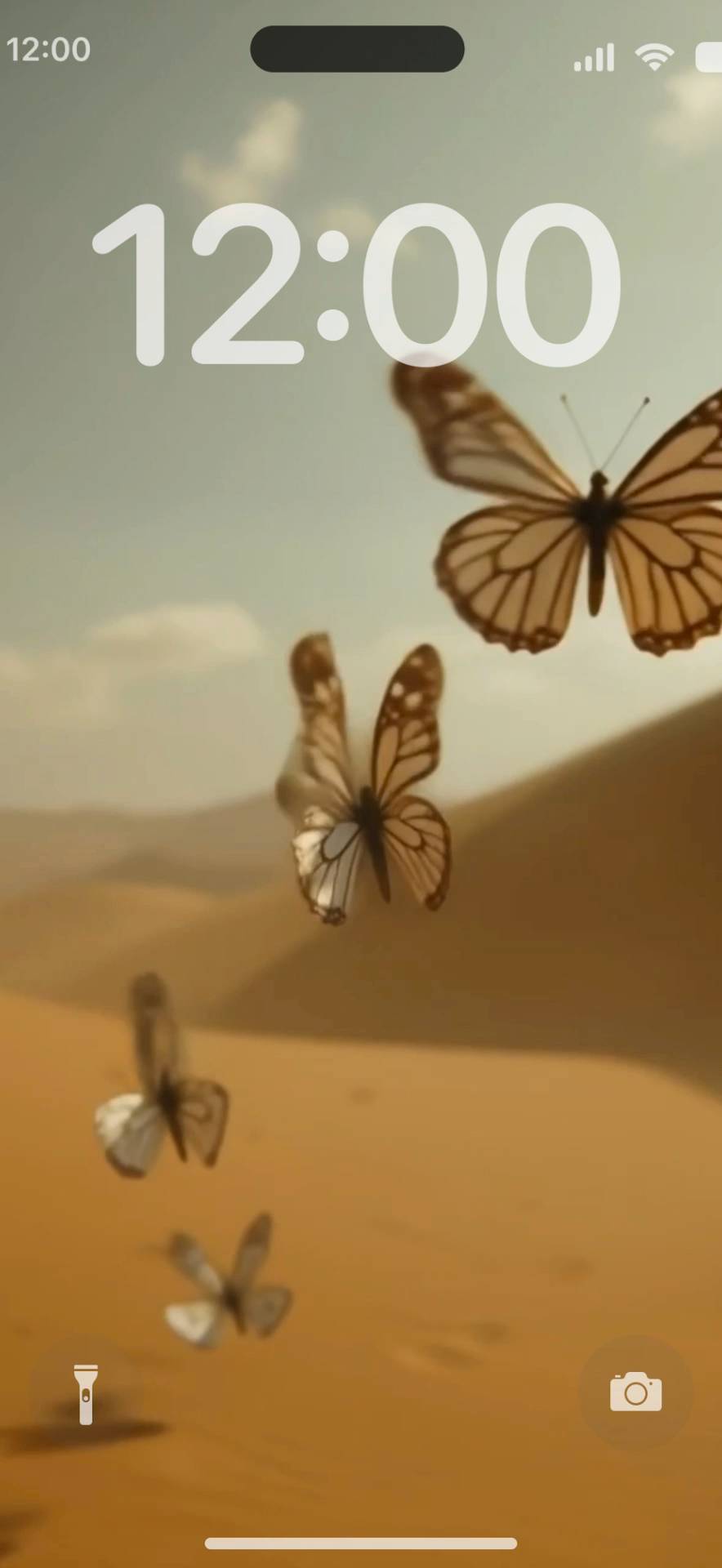 Gold butterfly Live Wallpaper[o171KH3bX2JzGGPIRGJY]