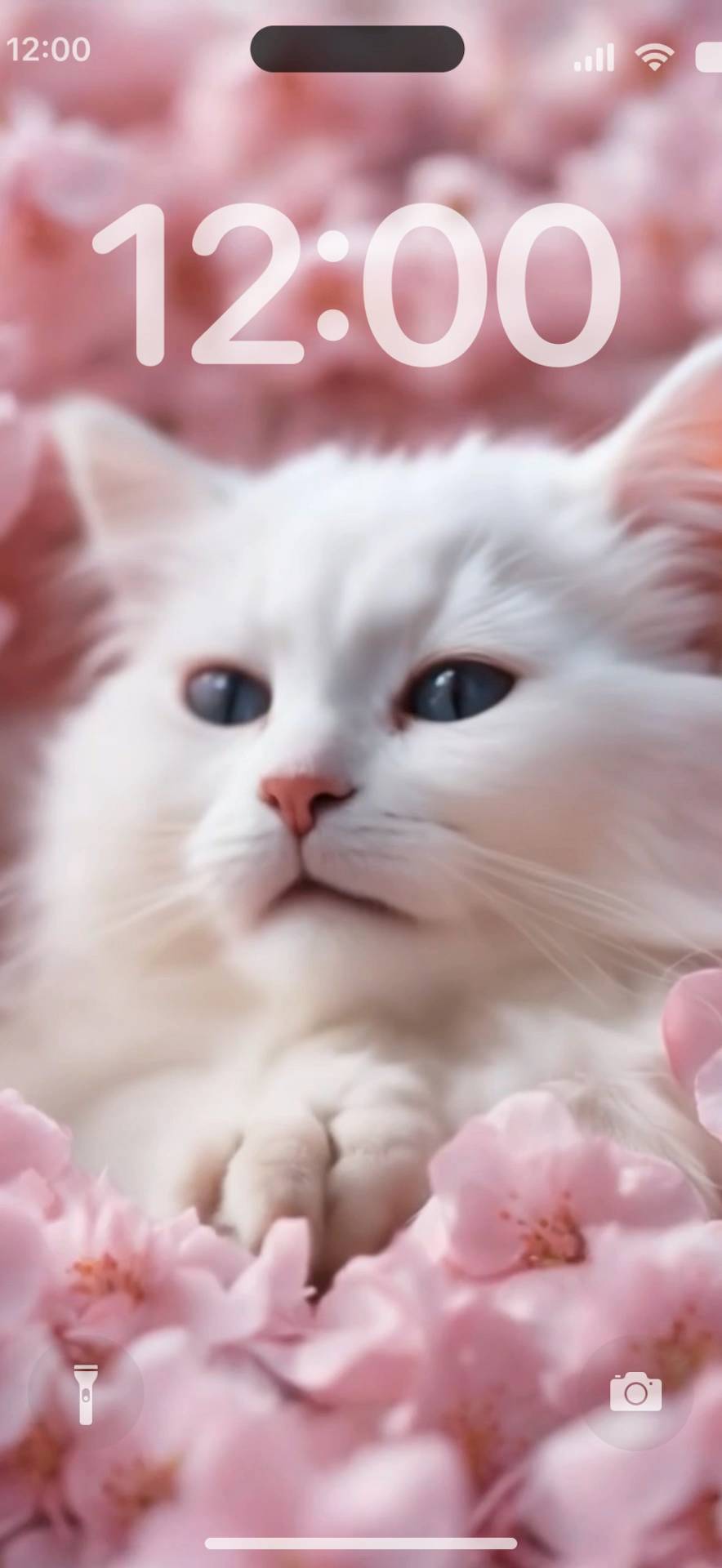 White cats Live Hintergrund[t9NxY95F2IPlSDMJ34Xq]