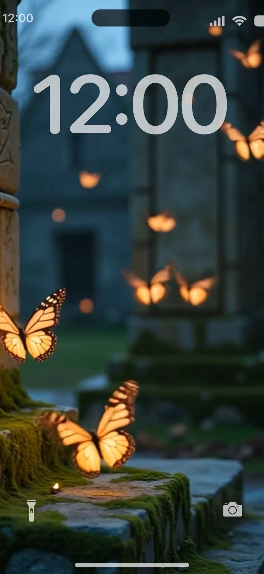 Butterfly night Levende tapet[Bhgfj4wQo9xP34YR1Gn7]