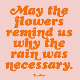 flowers and rain quote Foto Widget-Ideen[DNYQxka6f1t3hp6jEt0H]