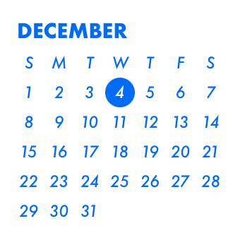 Calendar Widget ideas[FgiHSttRw7q2JZJW2lC4]