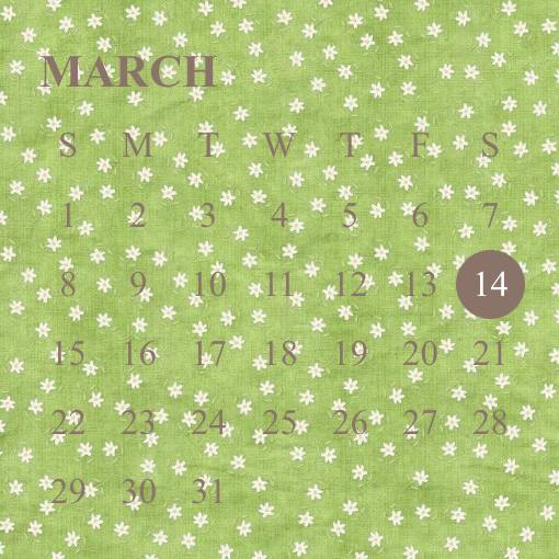 Pastel Calendar Widget ideas[cHJlxDN0vNY3poDkRO8S]