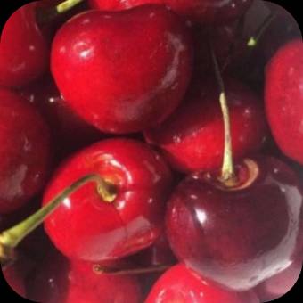 Photo Widget ideas[Ka4FJJ4R8ToygsJFQM8J]