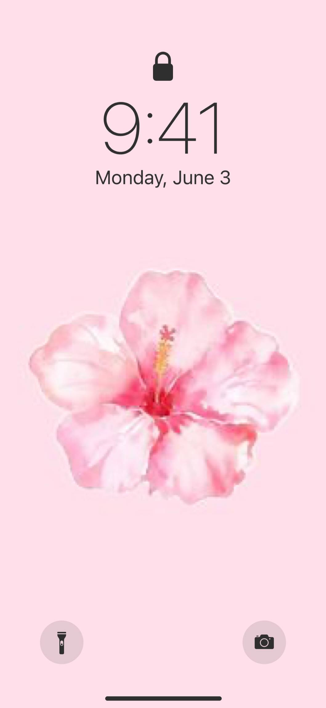 𝓟𝓲𝓷𝓴 𝓫𝓮𝓪𝓬𝓱 𓇼 ⋆.˚ 𓆉 𓆝 𓆡⋆.˚ 𓇼Pomysły na ekran główny[TDV2vbFOndsFqDLURR5C]