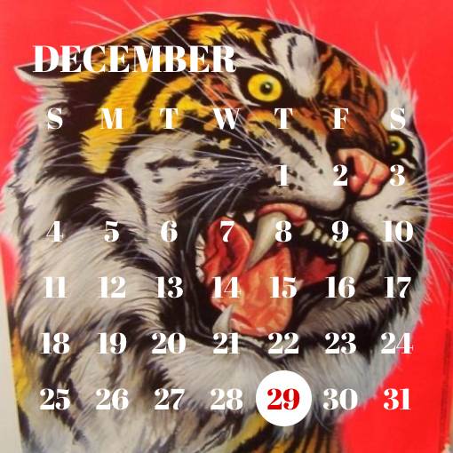 calendar Calendar Idei de widgeturi[wQ0XcnyA2e4A2rn2xl1F]