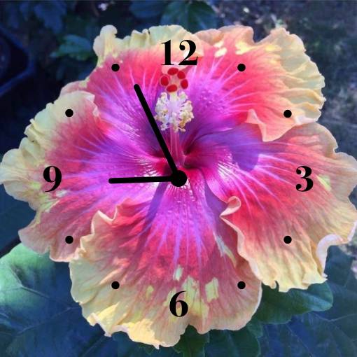 clock flower Hodiny Nápady na widgety[UDwULN4DMDZY1JV61vBx]