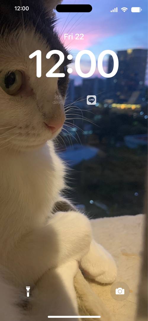 うちの猫Kilit ekranı[UmvXe5saJN02w78bDnrX]