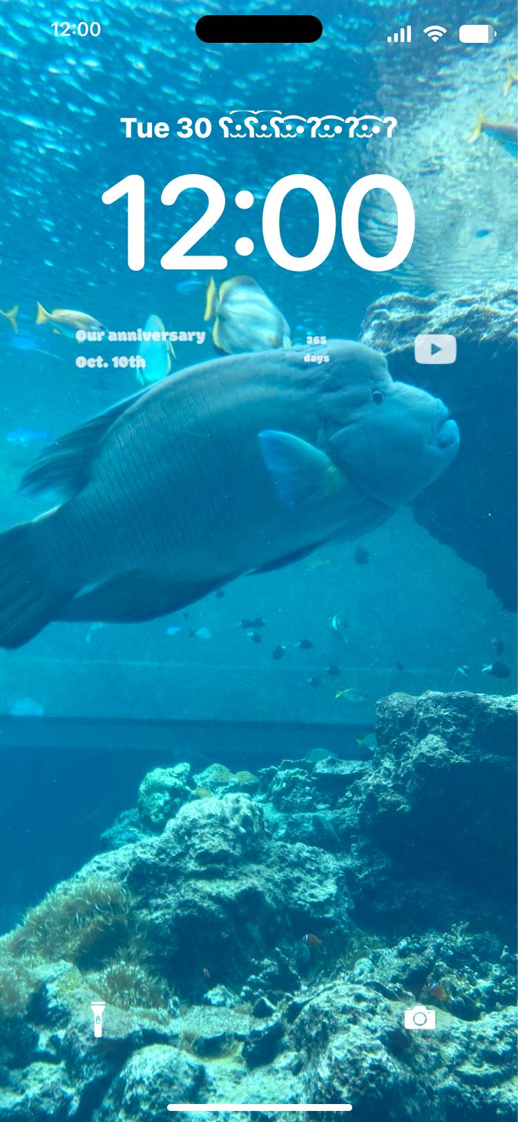 魚🐟🐟🐟🐟🐟🐟 Tela de bloqueio[BYyktxbNx1Ue31TG05ek]