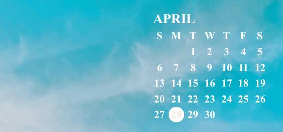 Calendar Widget ideas[6bB7R3buqdkpLzSlES5P]