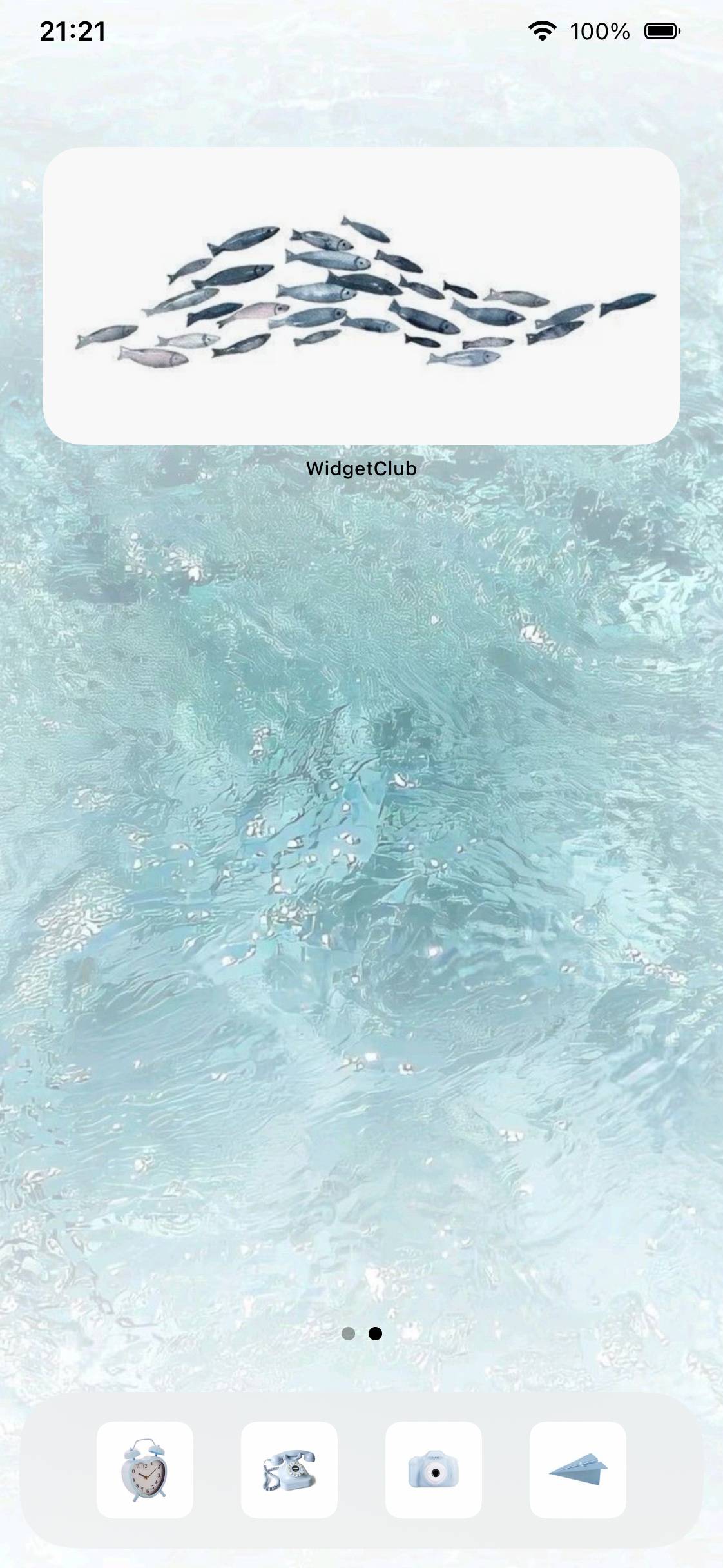 sea🪸🤍🩵🐚🪼🐟🦭Home Screen ideas[Luv51oHkprNUWawxemLi]