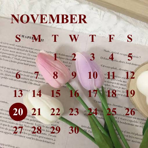 カレンダー Calendar Widget ideas[ozyFtX4dXun5otopOIgg]
