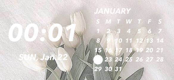 Calendar Widget ideas[wGkPdoqGDPPgpjyFTS0U]