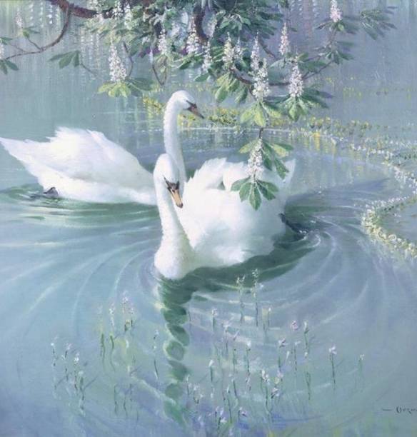Light Blue Aesthetic - Swans on a Lake Foto Widget-ideeën[TUOcskWn5FJ5zonnTeWH]