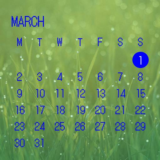 Pretty Calendar Widget ideas[NeEATic3aIciaCY46XDv]