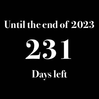 2023が終わるまで Countdown Widget ideas[tcZA18ANtpLOsv0vvcDj]