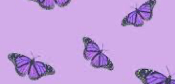 Purple Aesthetic Butterflies Photo Widget [sw6HIrZYZgQmFPxbqJ4t] for ...