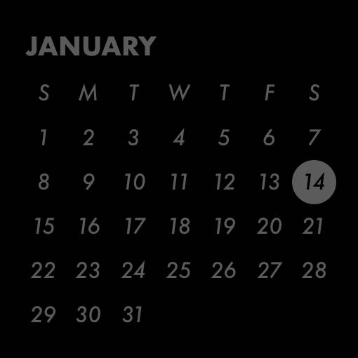 Calendar Widget ideas[aLblmP2LH38d82Exv1vL]