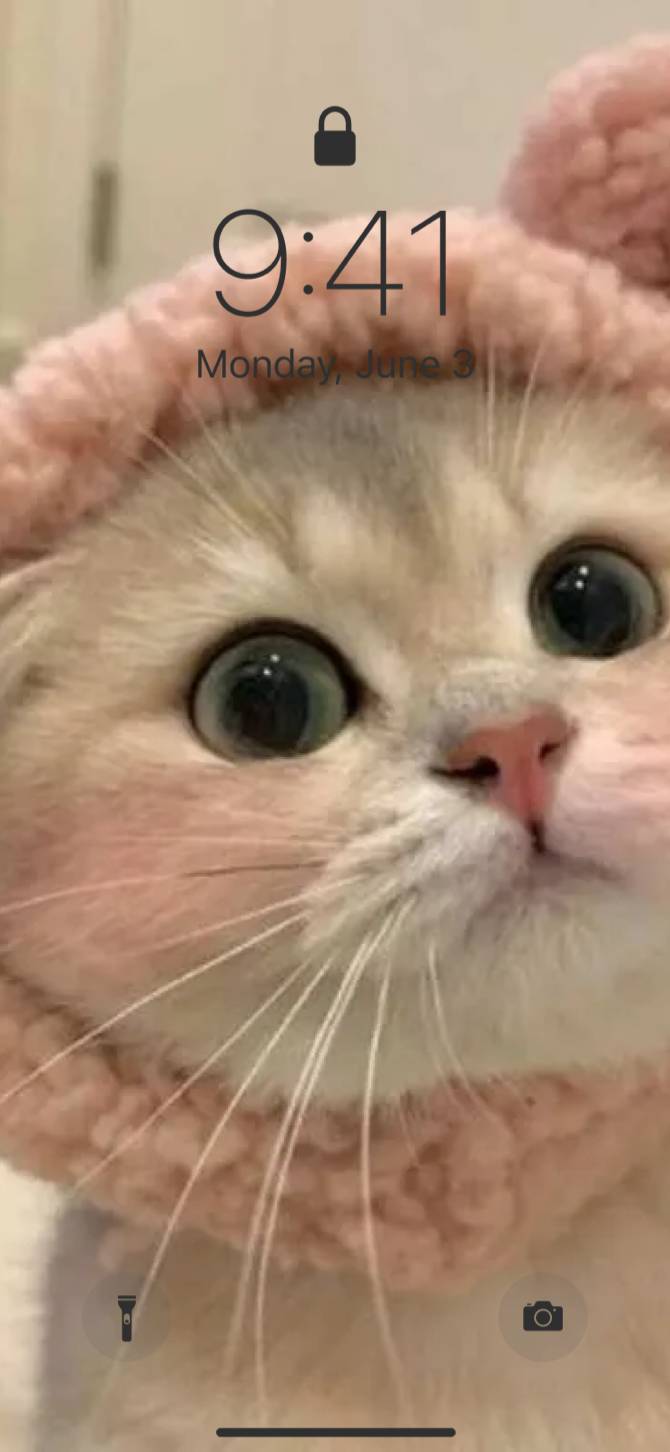 catایده های صفحه اصلی[O1cipzOB8XAAnsJsBKfk]