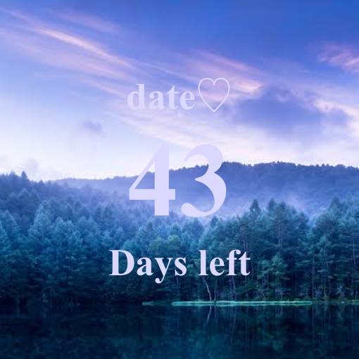 Date Countdown Widget ideas[3KkwF2Go1z6pbpftAFFe]