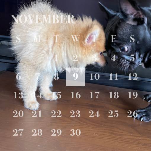 Calendar Idei de widgeturi[UGyHibu3waUZaltTVHqC]