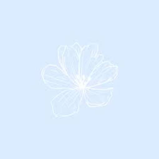 flower light blue Photo Idées de widgets[Zyx4AlXivbdBRBQ7dF20]