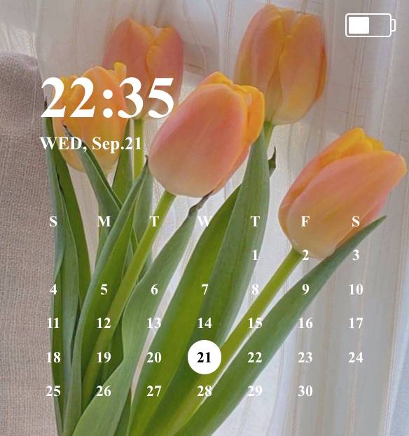 No.1 Təqvim Widget ideyaları[Q6Amyv4voss9mzT1ZMvv]