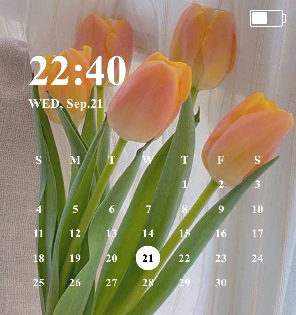 Calendar Idei de widgeturi[gLcDN9zCJEnLJ6gbQV7k]