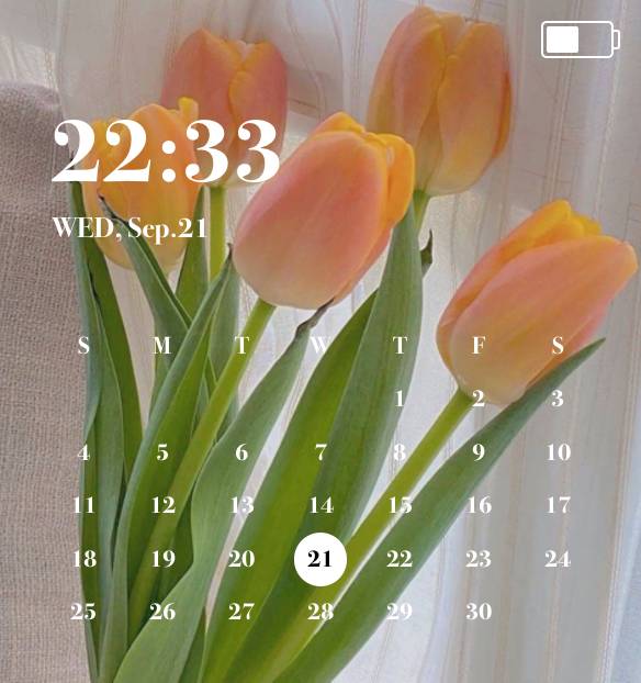 No.1 Calendario Ideas de widgets[DVftQbs08vXAv5JiAZVz]