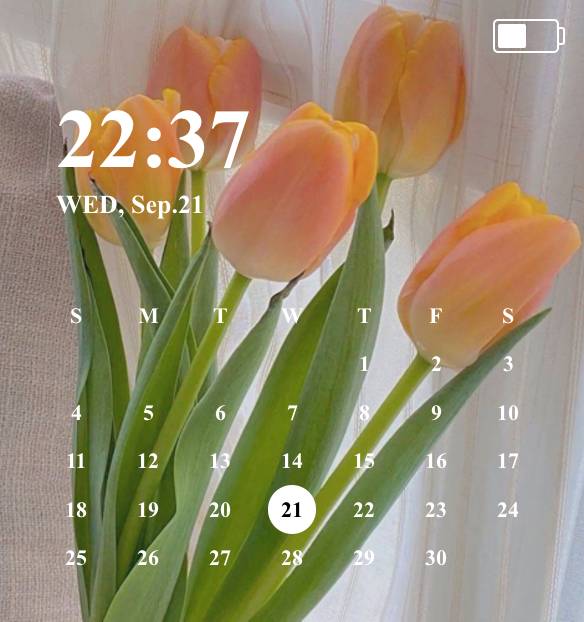 Calendário Ideias de widgets[8oXmgET1DjOUvlxwSV28]