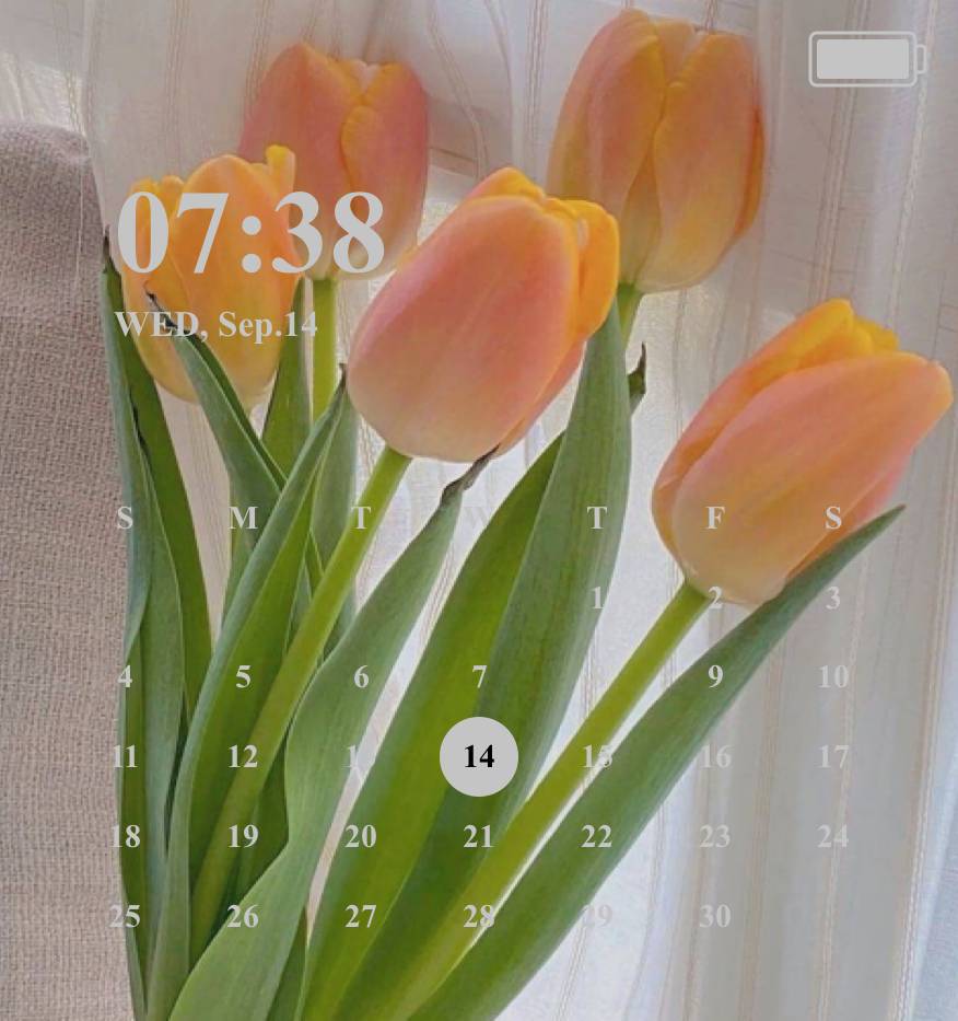 Calendario Ideas de widgets[Tq76NijaQdWcNYh78kmU]