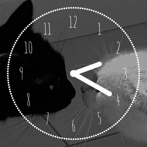 ねこ jam Idea widget[XI9OserHQzF4TQRduCPI]