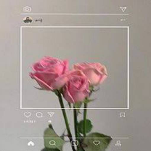 Photo Widget ideas[v5cLzTLa2Gq74D8owtjw]